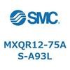 55628124