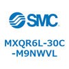 55644504
