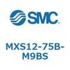 55658407