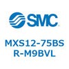 55658617