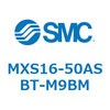 55668024