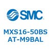 55668541