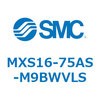 55669397