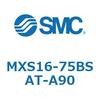 55669704