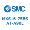 55669713