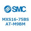 55669756