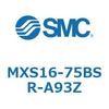 55669853