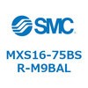55669862