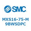 55670036