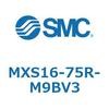 55670124