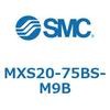 55680545