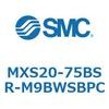 55680651