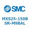 55685594