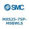 55690205