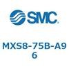 55704047
