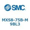 55704056