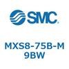55704074