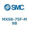 55704451