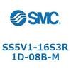 56532025