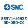 56532804