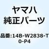 57568954