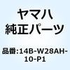 57569557