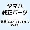 57575848