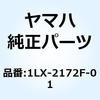 57595694