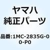 57597198