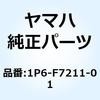 57600962