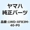 57618304