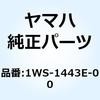 57619248