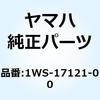 57619555