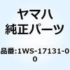 57619564