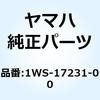 57619616