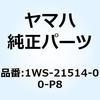 57620036