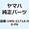 57620203