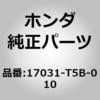 59920288