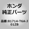 60216293