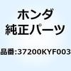 66069946