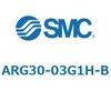 ARG30-03G1H-B ARG-B - 圧力計内蔵レギュレータ SMC 66530258