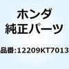 69025538