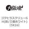 5X16 �S�N�q���X�N�����[GH(�S/�O���z���C�g) ��㍰ 69053312
