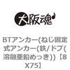 BTアンカー(ねじ固定式アンカー(鉄/ドブ(溶融亜鉛めっき)) 大阪魂