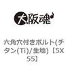 5X55 �Z�p���t���{���g(�`�^��(Ti)/���n) ��㍰ 69083105