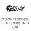 プラグNPT