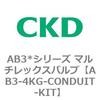 AB3-4KG-CONDUIT-KIT AB3*�V���[�Y �}���`���b�N�X�o���u CKD 79402714