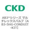 AB3-5HG-CONDUIT-KIT AB3*�V���[�Y �}���`���b�N�X�o���u CKD 79402757