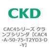 81555503