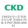 81668002